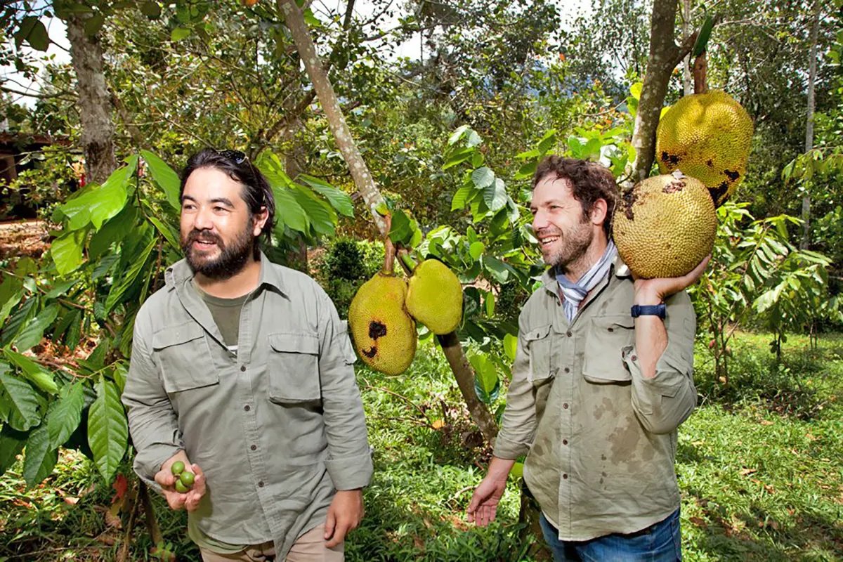 Maker - Marou Chocolate