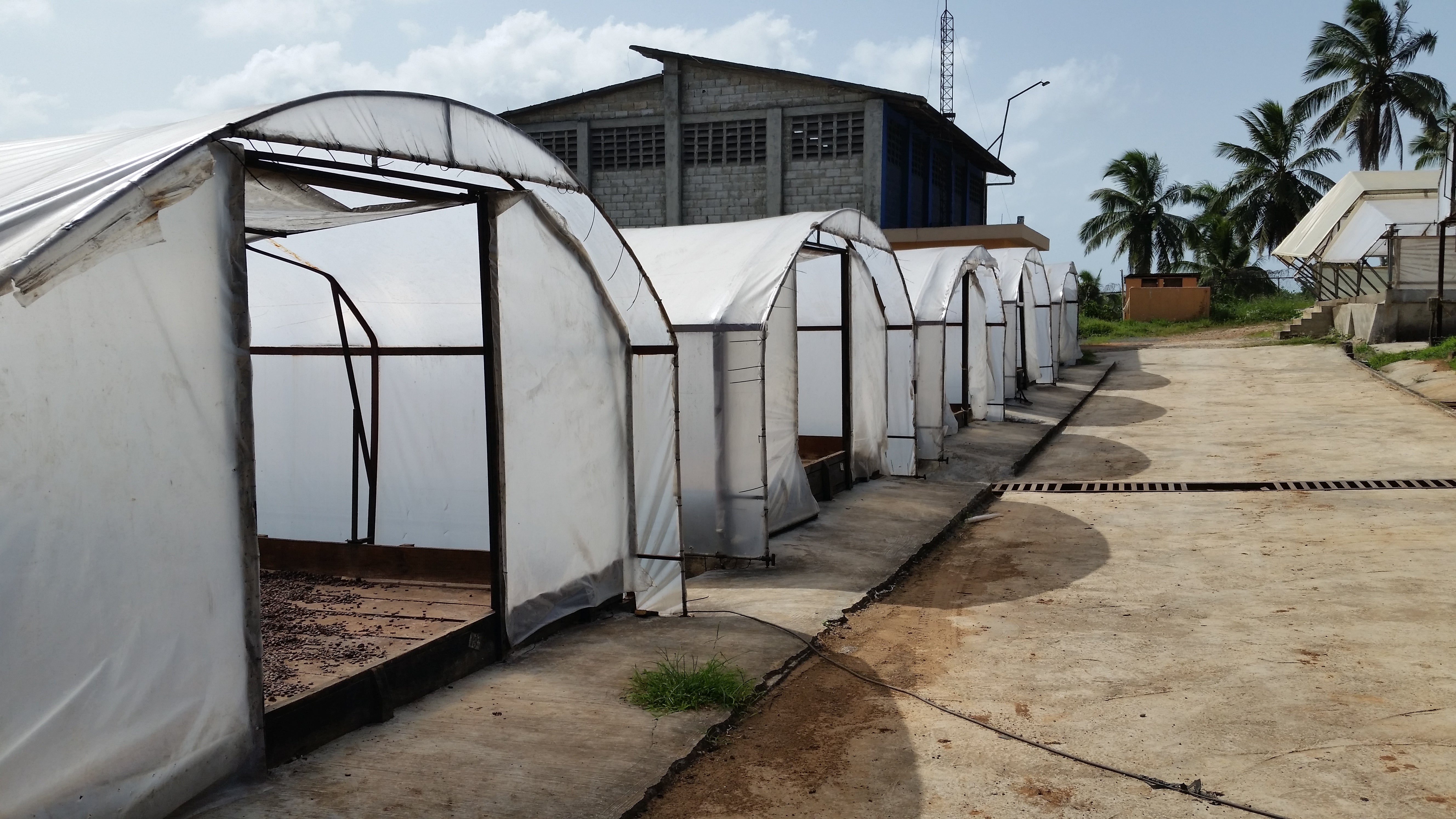 Maker - Finca Elvesia