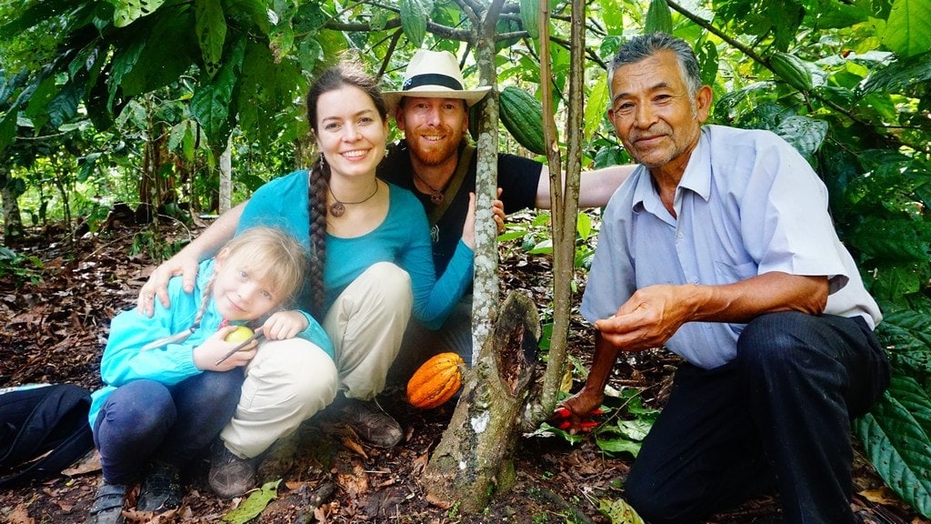 Maker - Chocolate Tree