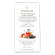 The Organic House Dark Oolong Orchard O'Payo 65%