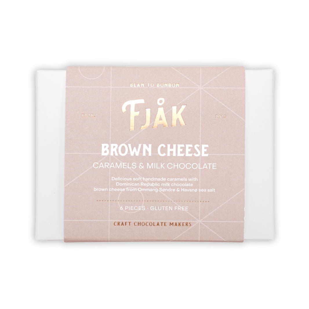 Fjåk Chocolate Coated Brown Cheese Caramels (6 pcs)