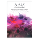 Soma Abstract Chocolate Science 75%