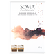 Soma Guasare Venezuela 70%