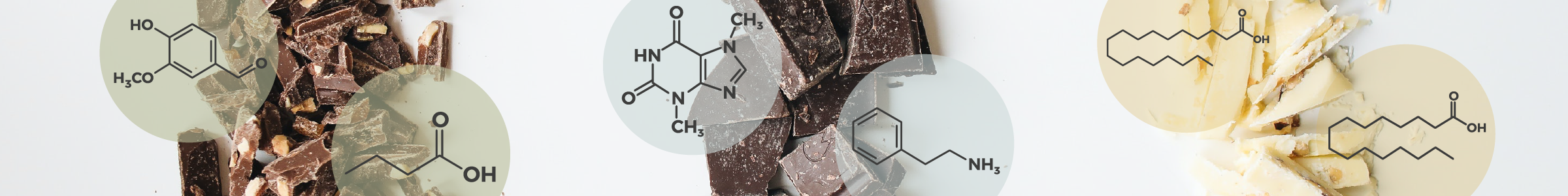 Chocolate pieces overlaid with chemical structure diagrams, illustrating the molecular compounds that contribute to chocolate’s flavor and effects.
