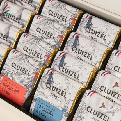Michel Cluizel Single Estate Tasting Box (28 Pieces)