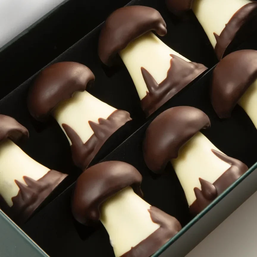 Michel Cluizel dark chocolate-covered white chocolate mushroom truffles with caramel in black gift box