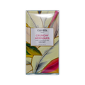 Michel Cluizel Crunchy Meringues 65%