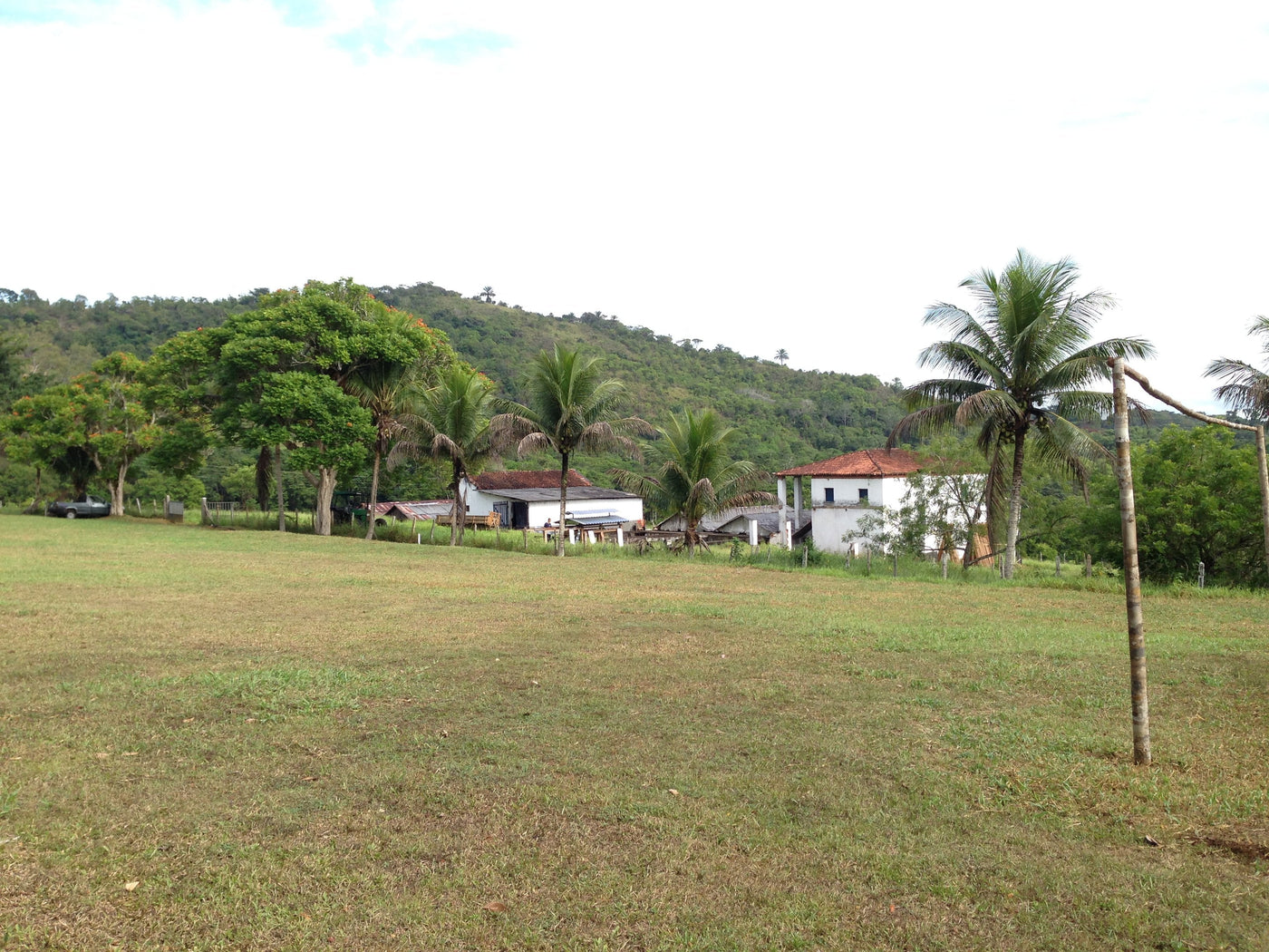 Fazenda Camboa