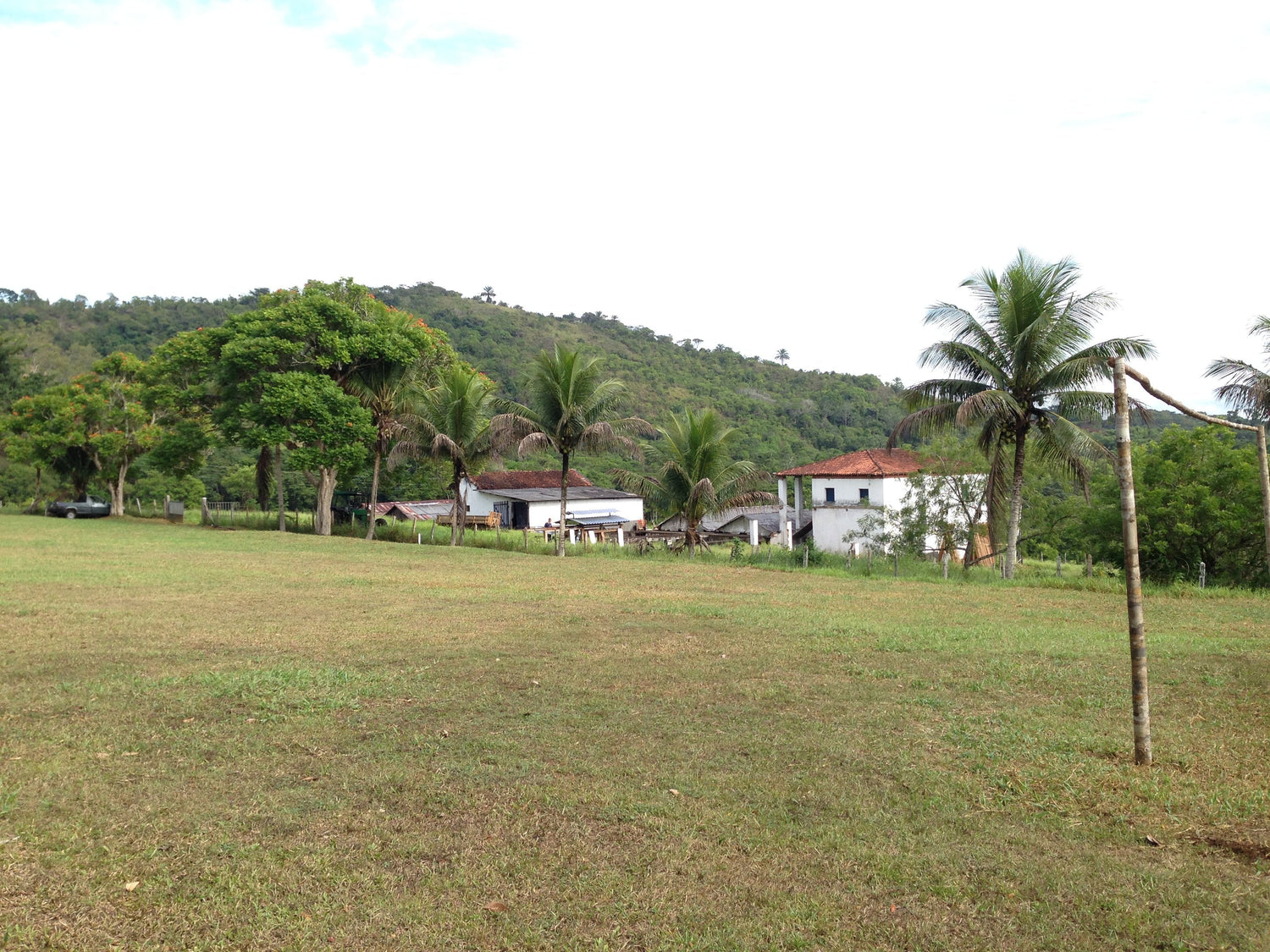 Fazenda Camboa