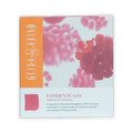 Guido Gobino 63% dark chocolate bar with pink raspberry filling in orange box