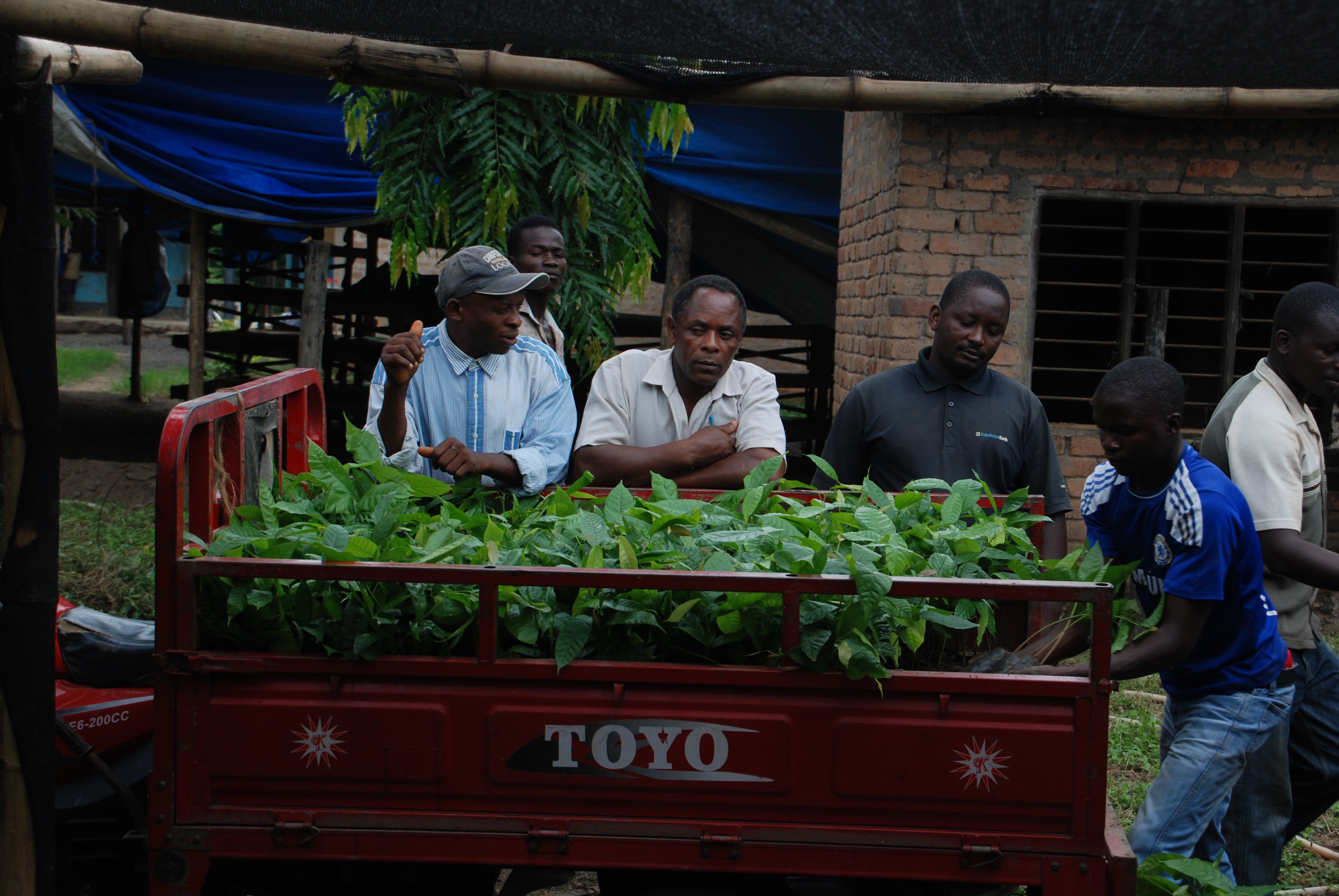 Kokoa Kamili Cacao Estate | Bar & Cocoa