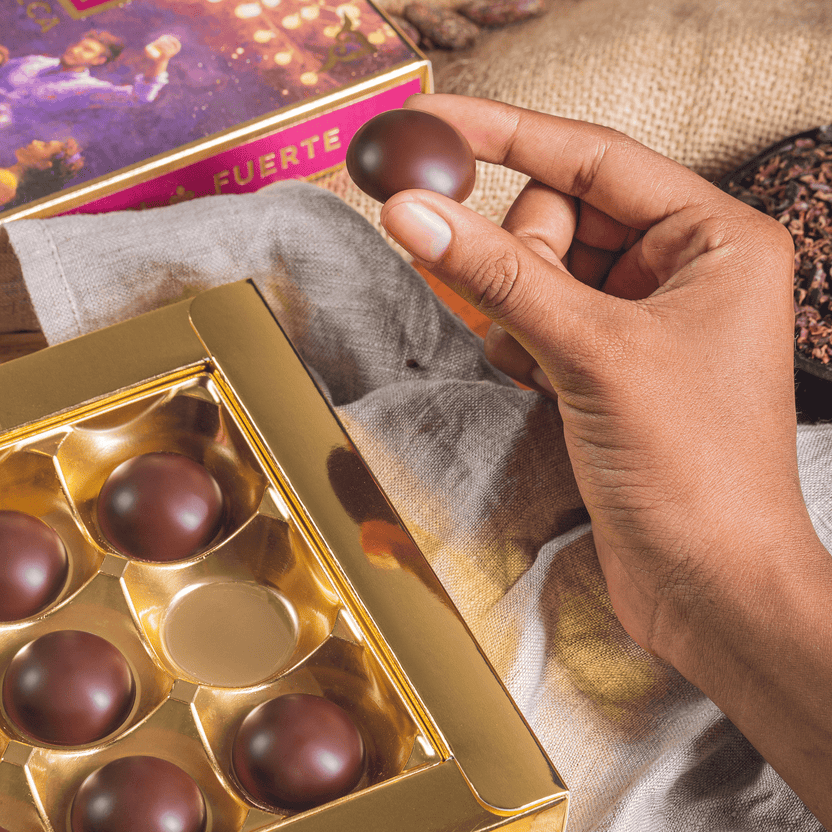 Hand holding Cacaoteca milk chocolate rum truffle over open gold box