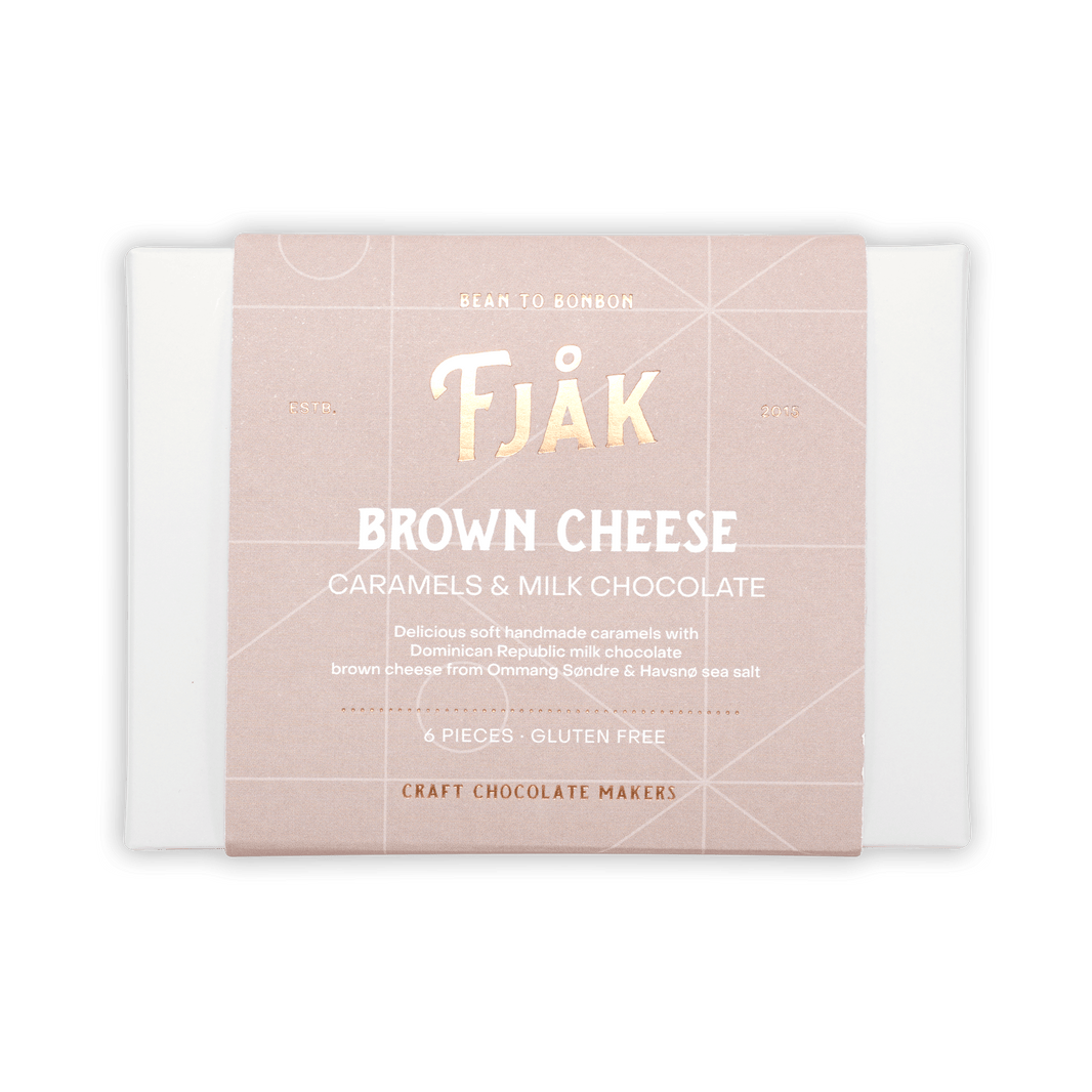 Fjåk Chocolate Coated Brown Cheese Caramels (6 pcs)