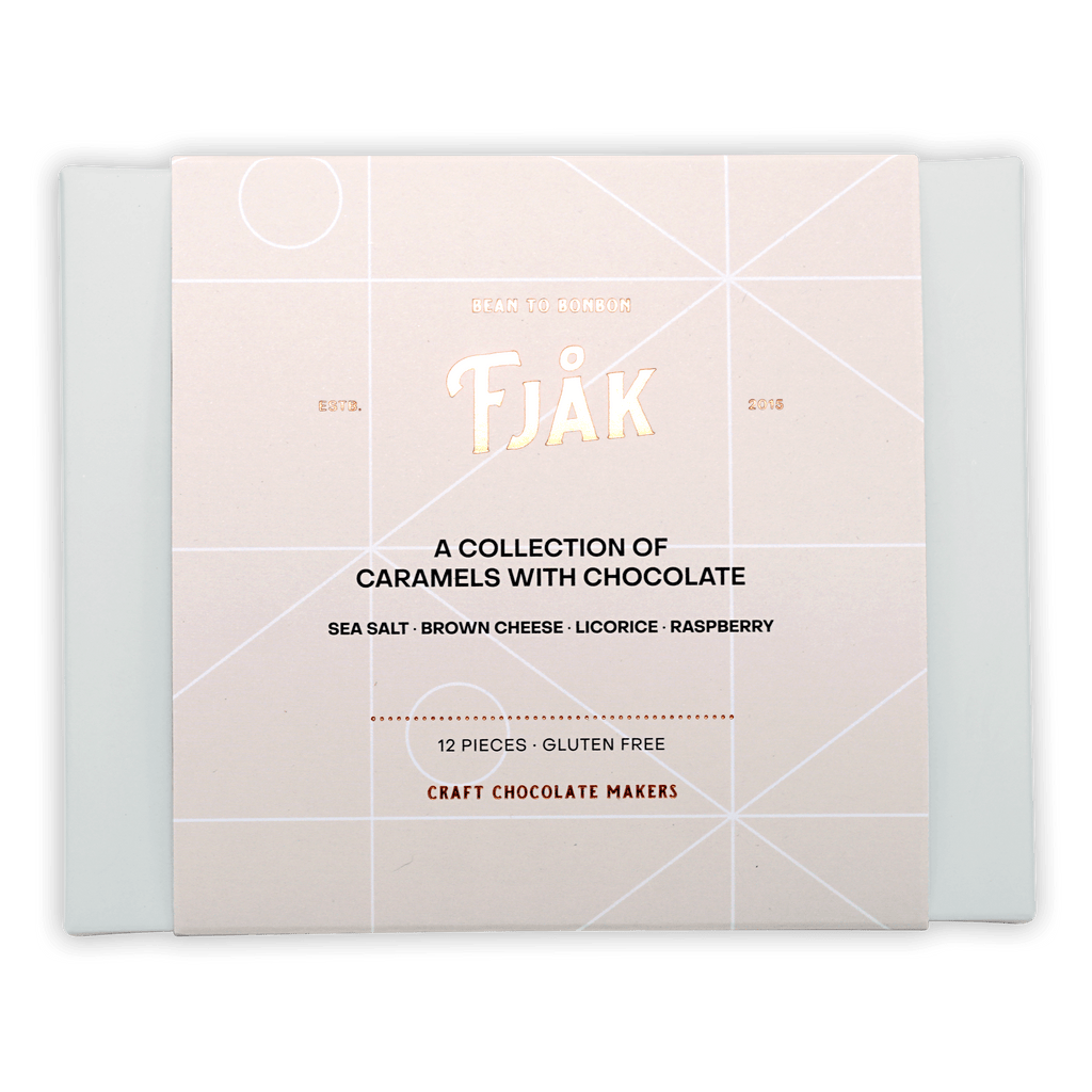 Fjåk chocolate coated mixed caramels 12 pcs box with flavors
