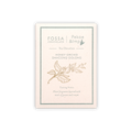 Fossa Milk Chocolate Honey Orchid Dancong Oolong 52% bar with pekoe tea