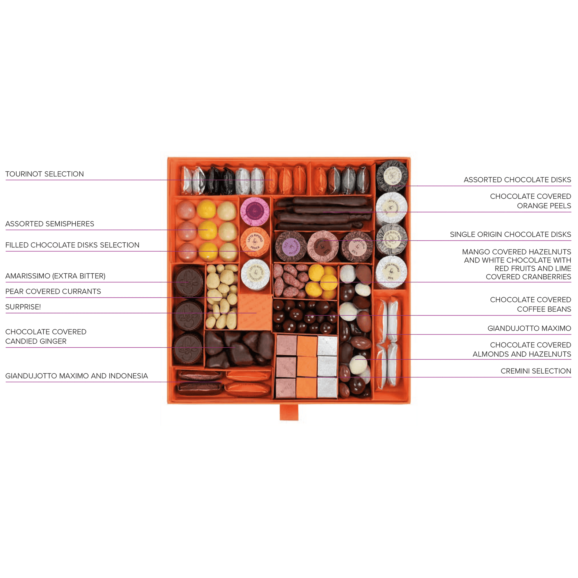 Guido Gobino large assorted pralines gift box with orange luxury gourmet chocolates