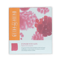 Guido Gobino 63% dark chocolate bar with pink raspberry filling in orange box