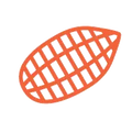 Fine cacao beans used for craft chocolate