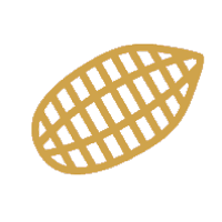 Fine cacao beans used for craft chocolate