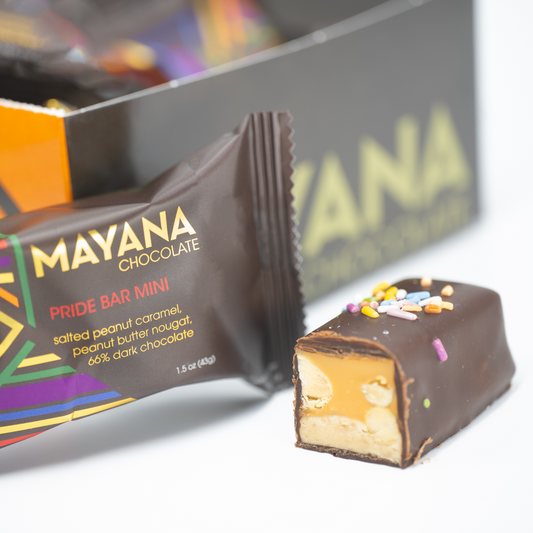 Mayana Chocolate Mini Pride Bar