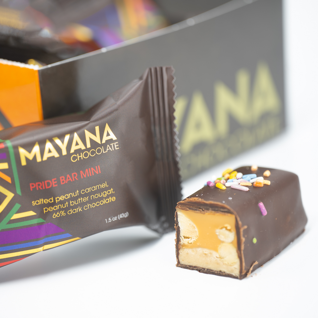 Mayana Chocolate Mini Pride Bar with peanut caramel, PB nougat, sprinkles
