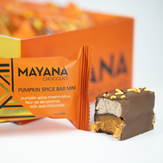 Mayana Chocolate Mini Pumpkin Spice Bar