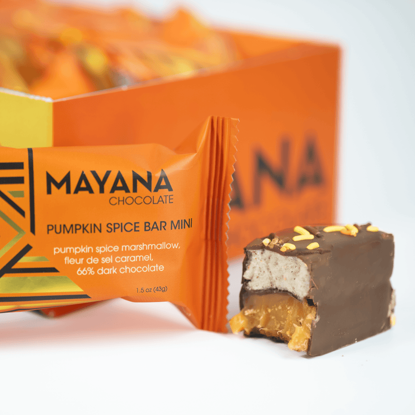 Mayana Chocolate Mini Pumpkin Spice Bar (Seasonal)