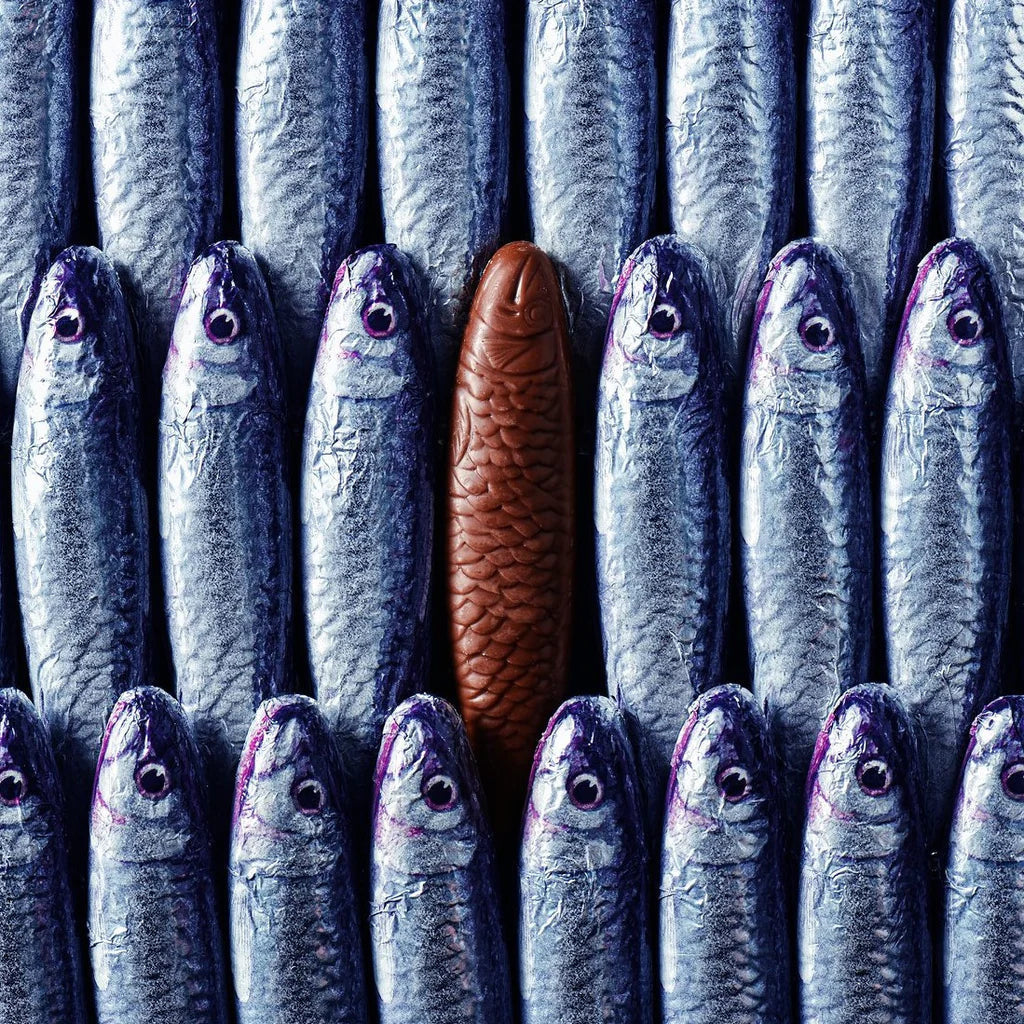 Michel Cluizel brown chocolate fish among silver sardines, 15 pc bag