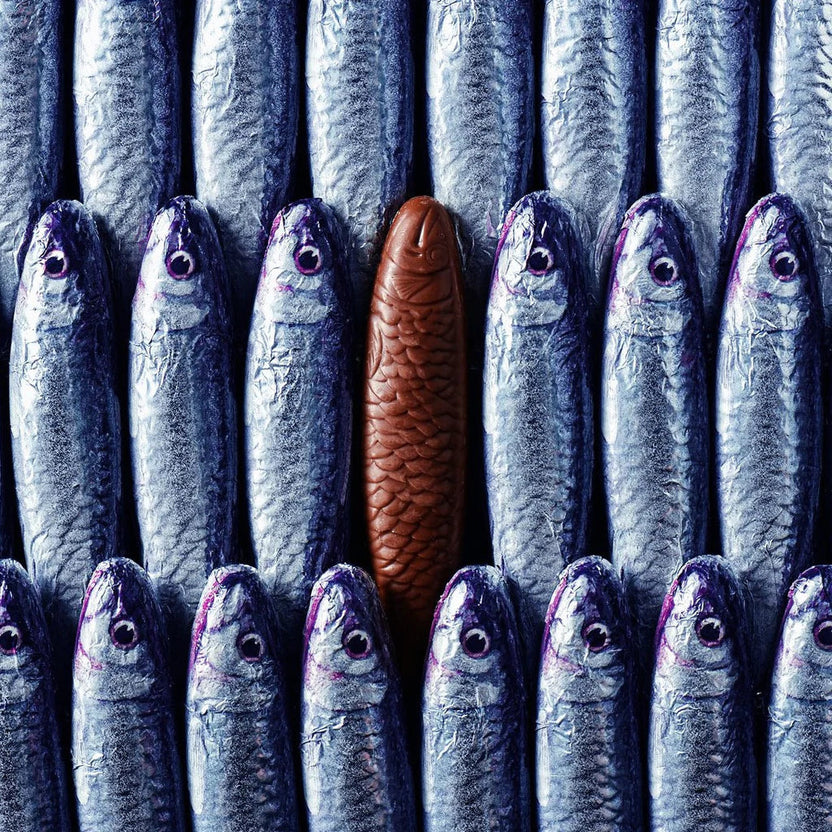 Michel Cluizel brown chocolate fish among silver sardines, 15 pc bag