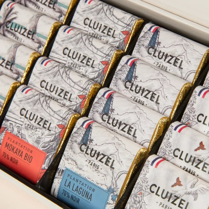Michel Cluizel single estate tasting box with rows of elegant Paris chocolate bars