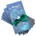 Mirzam Spiced Chocolate Bars Maps Bundle of blue starry bars with green ribbon