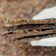 The Organic House Mocha Toffee Crunch