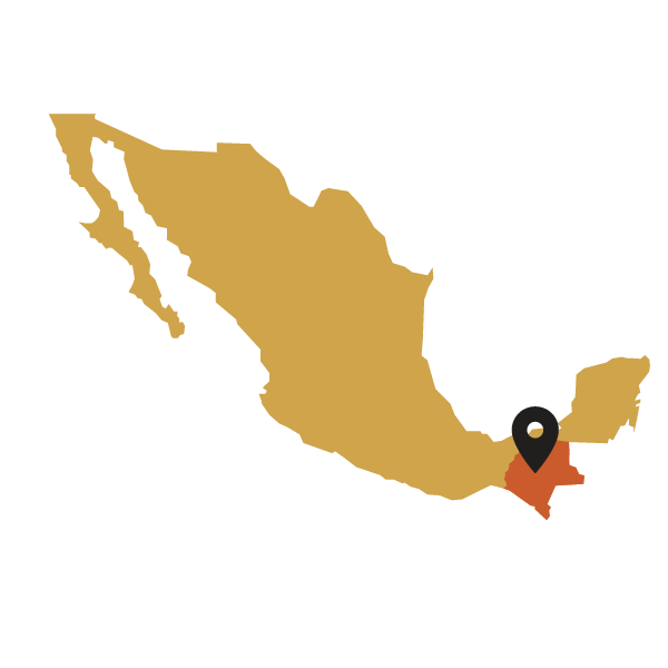 Map of Mexico with a black marker pointing to a Chiapas region