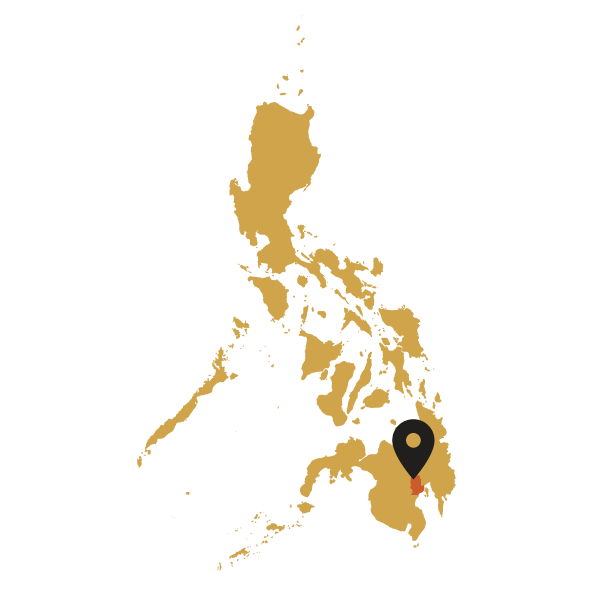 Map of Philippines with a black marker pointing to a Davao region