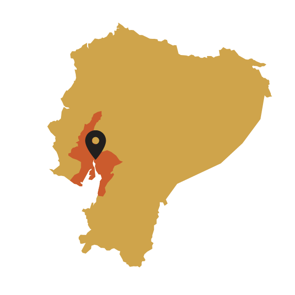 Map of Ecuador with a black marker pointing to a Guayas region