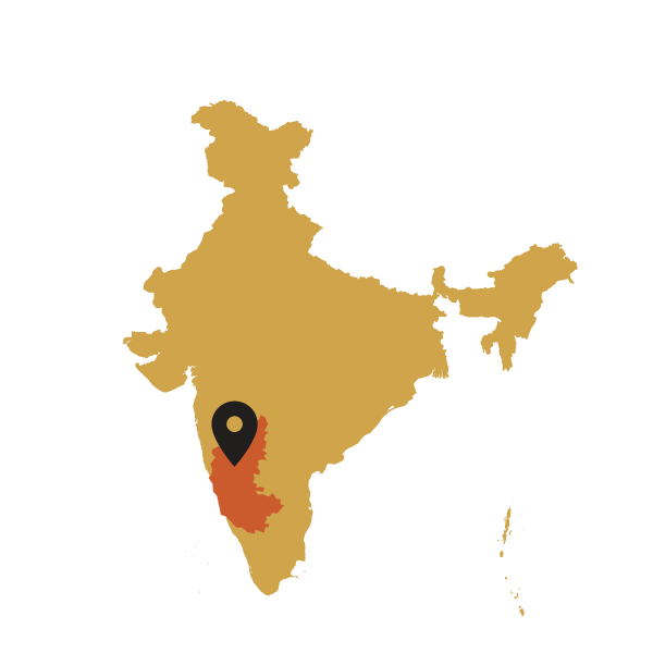 Map of India with a black marker pointing to a Karnataka region
