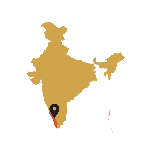 Map of India with a black marker pointing to a Kerala region