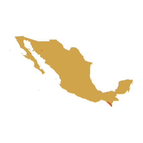 Map of Mexico pointing to Soconusco region