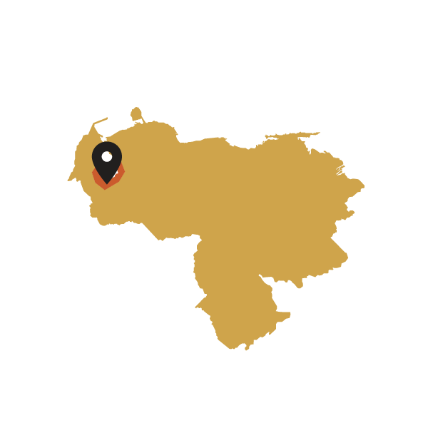 Map of Venezuela with a black marker pointing to a Sur Del Lago region