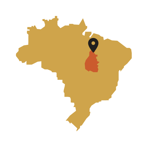 Map of Brazil with a black marker pointing to a Tocantins region