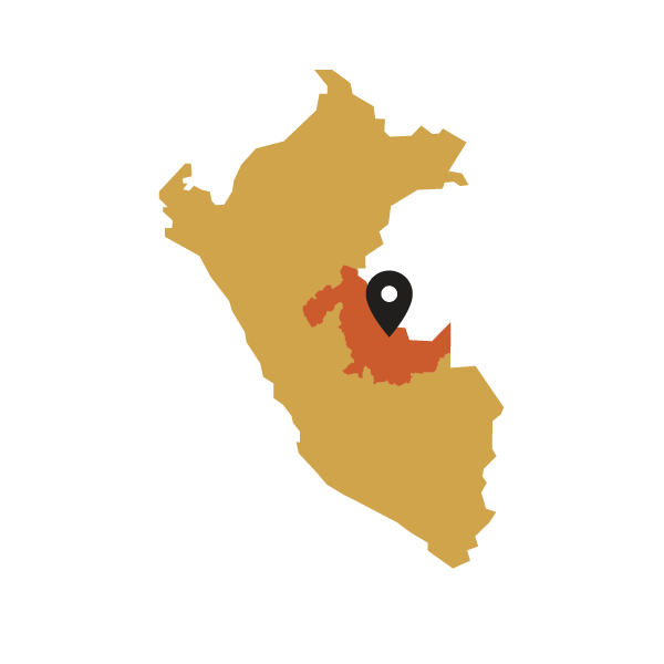 Map of Peru with a black marker pointing to a Ucayali region