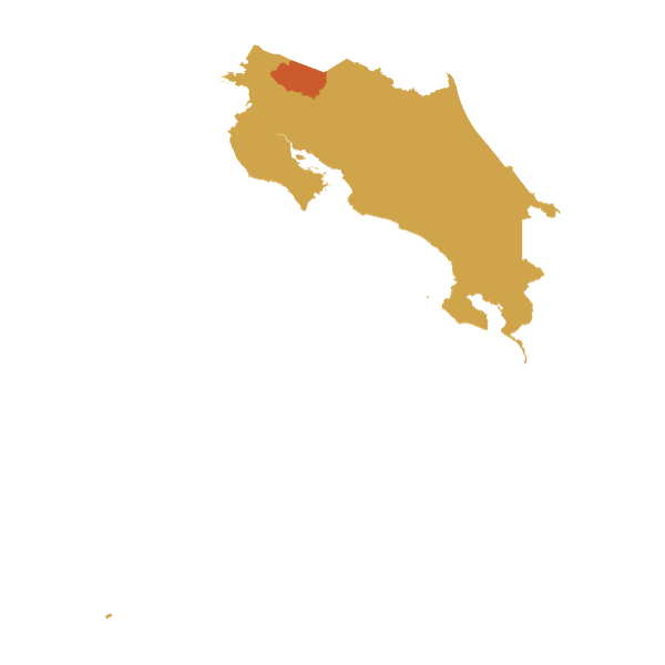 Upala