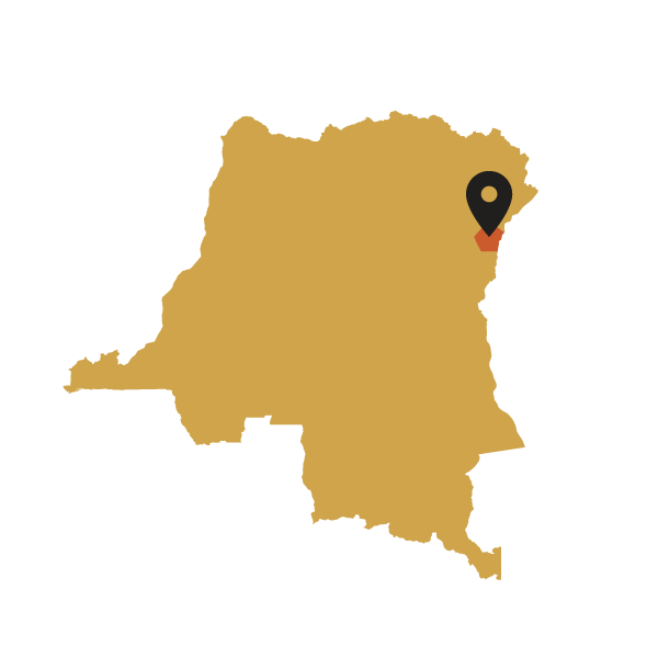 Map of Congo with a black marker pointing to a Virunga region