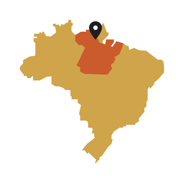 Map of Brazil with a black marker pointing to a Para region