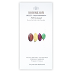Organic House Dark Belize Maya Mountain 70% chocolate with cacao pods