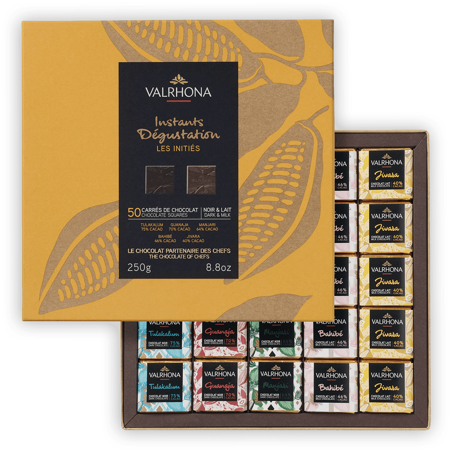 Valrhona Mini Squares Gift Box Mixed (50 pcs)