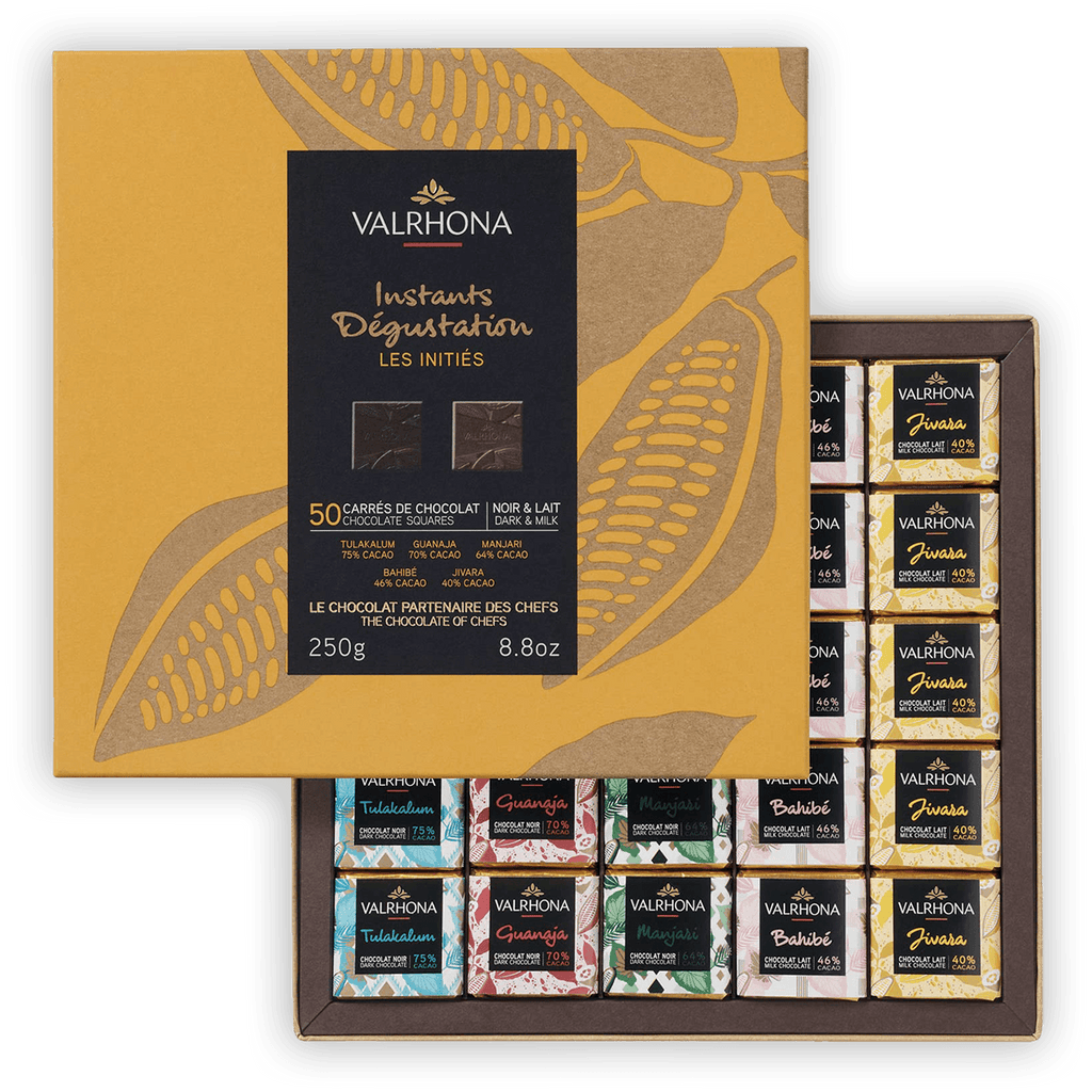 Valrhona Mini Squares gift box with 50 assorted dark and milk chocolates