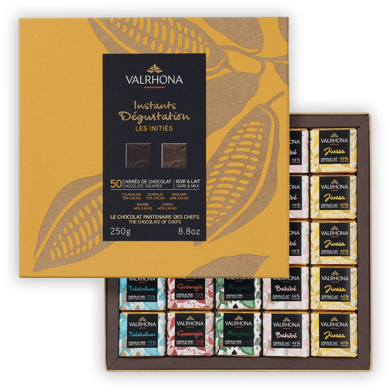 Valrhona Mini Squares gift box with 50 assorted dark and milk chocolates