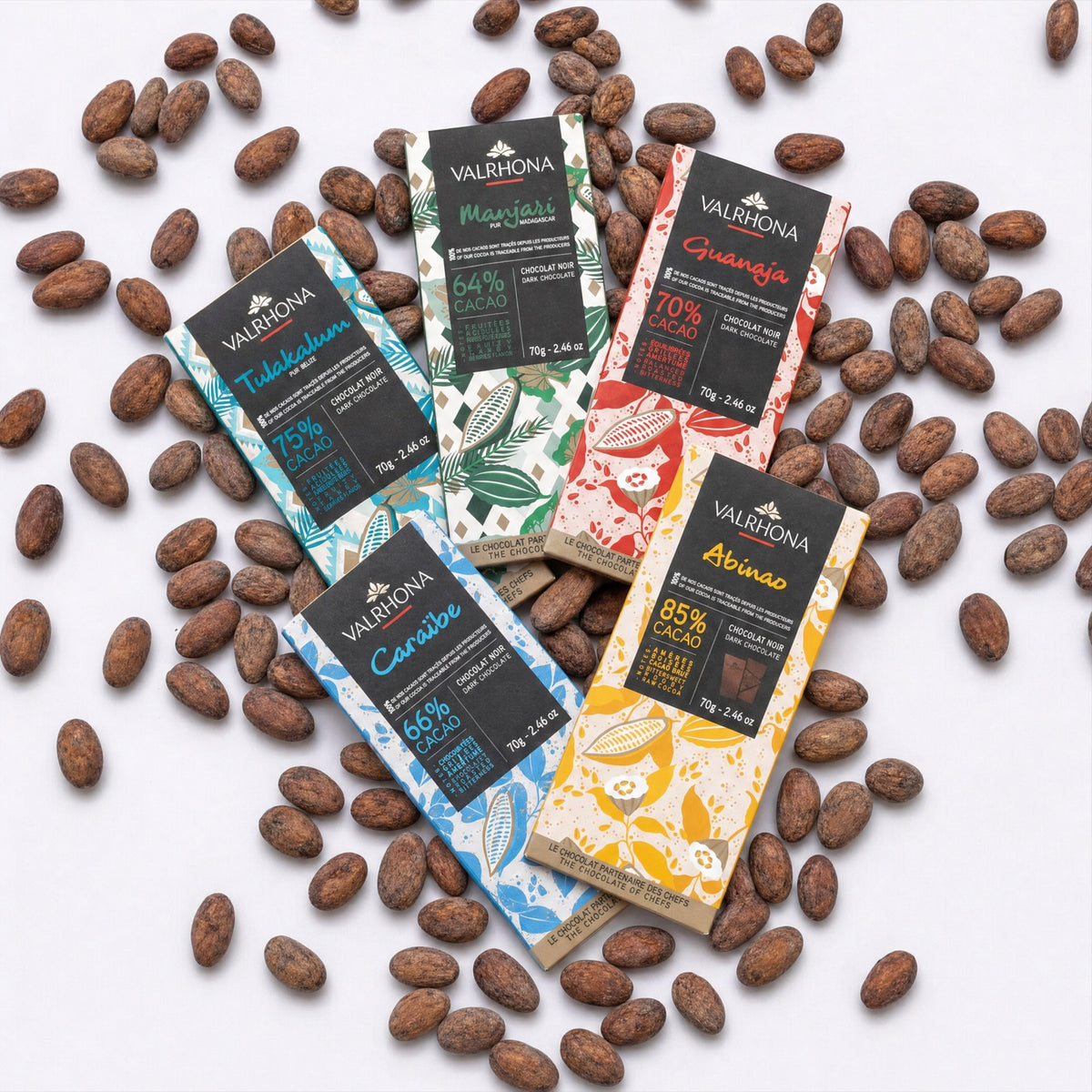 Valrhona dark bars scattered among cacao beans.