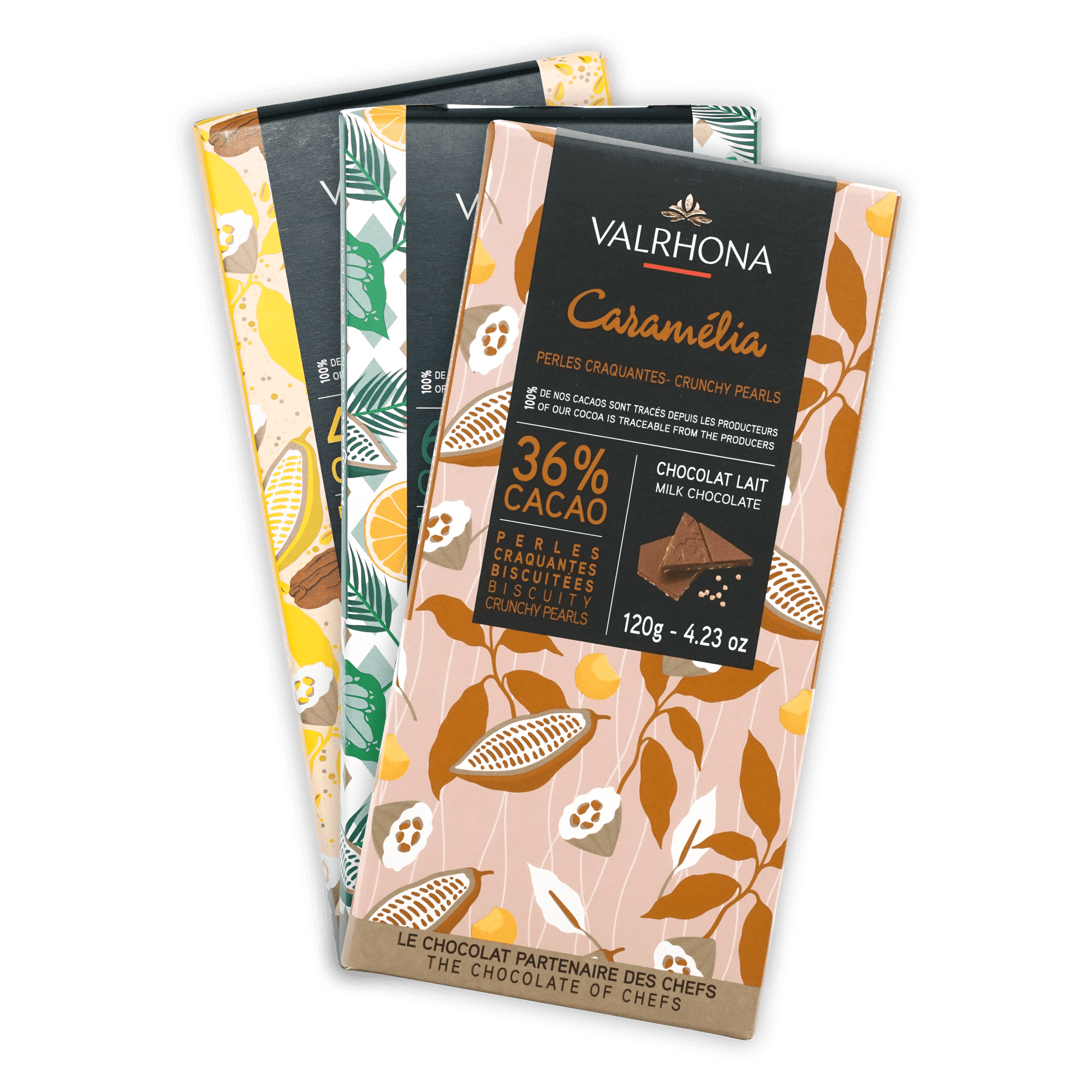 Valrhona Assorted Chocolate Ballotin Gift Box (25 Piece) – Bar & Cocoa